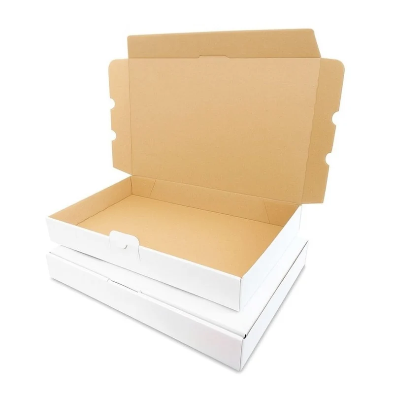 160x110x50mm Maxibrief-Karton weiß